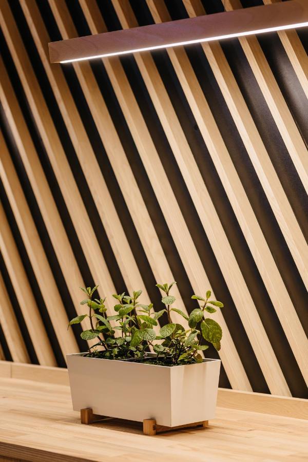 Ski&Sun Apartamenty Świeradów-Zdrój Exterior foto