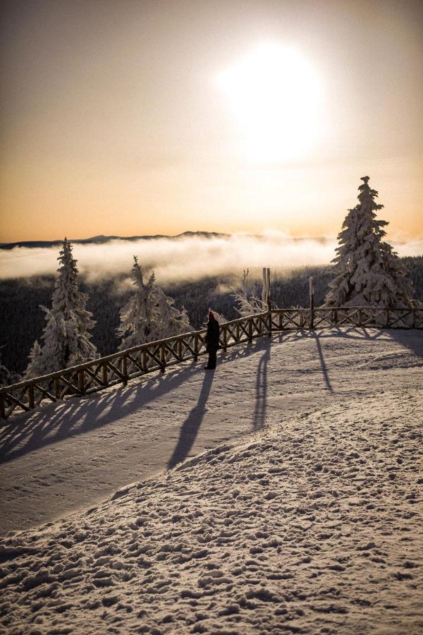 Ski&Sun Apartamenty Świeradów-Zdrój Exterior foto